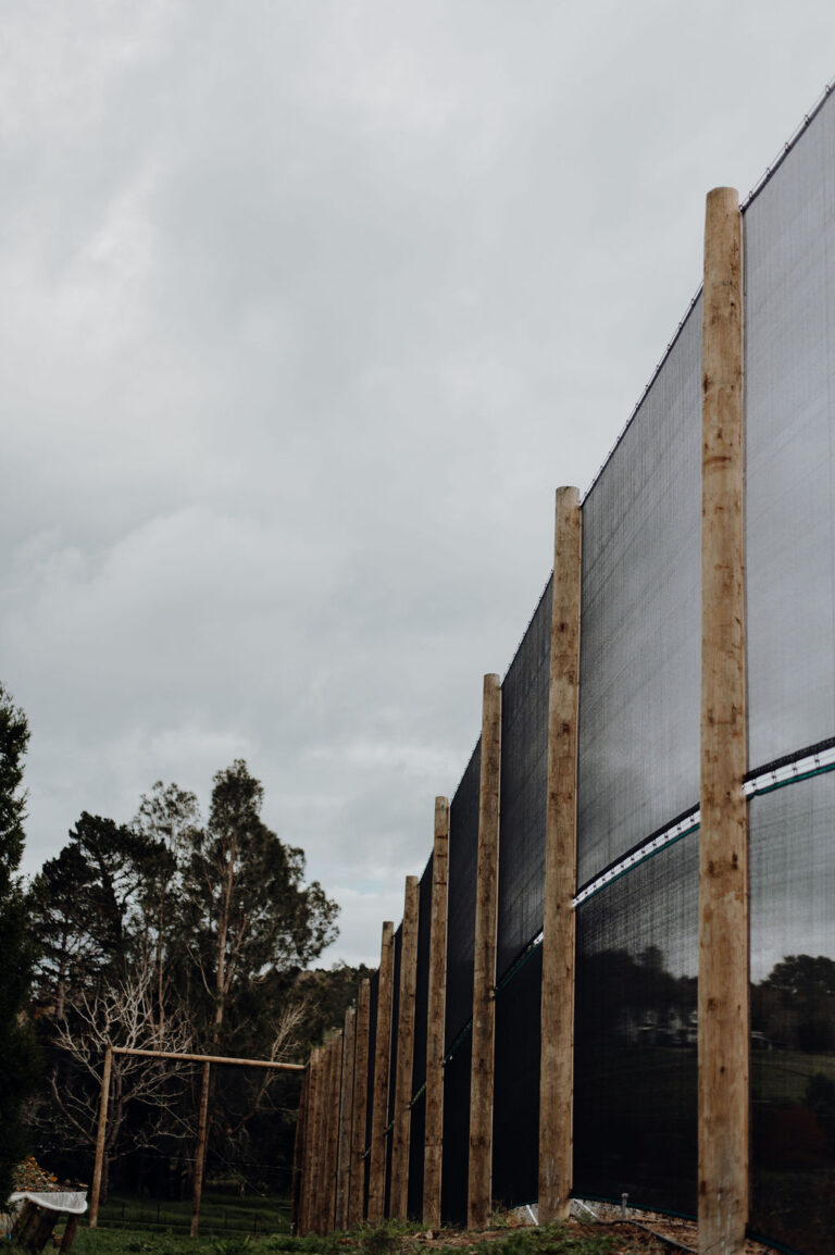 artificial shelter whangarei