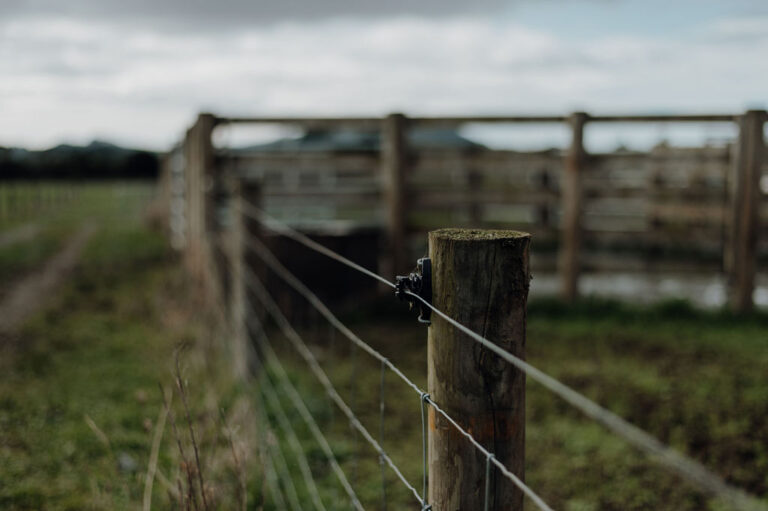 Agricultural fencing