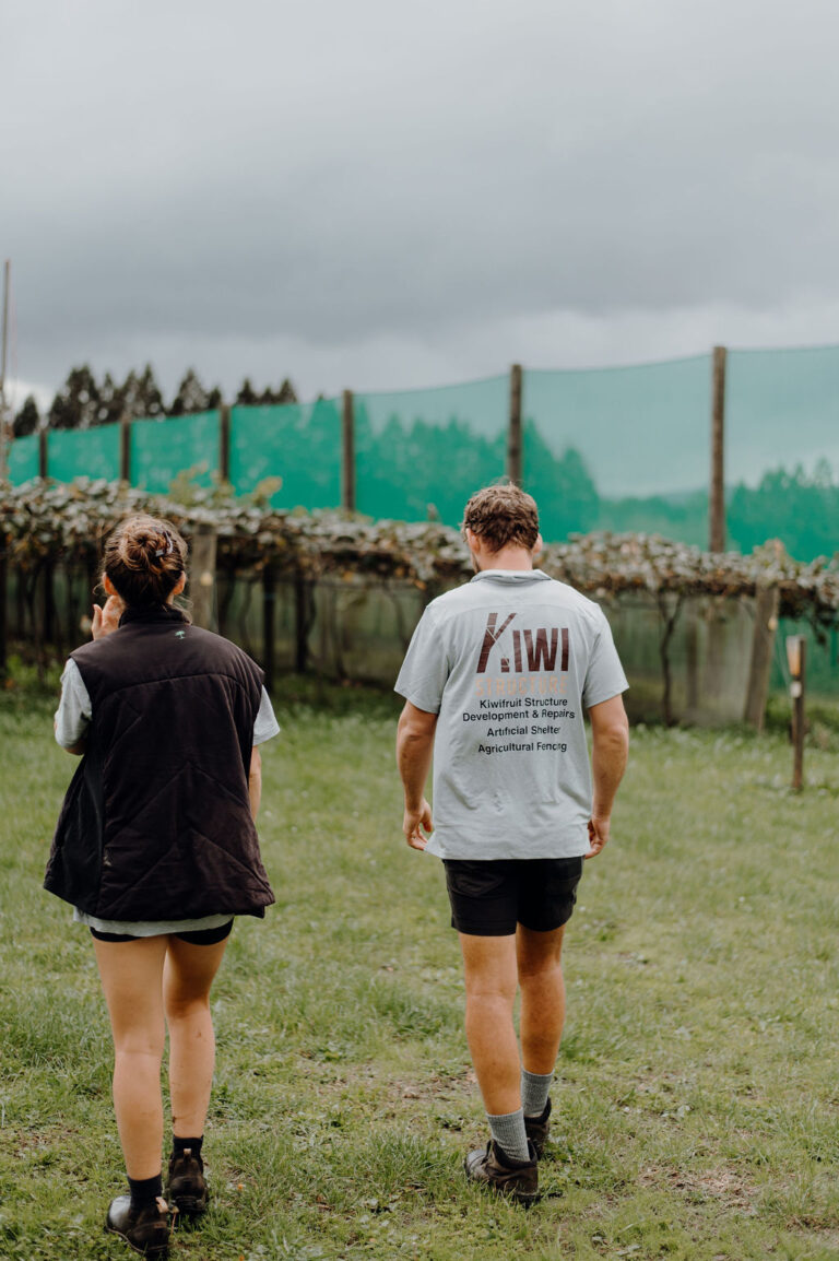 Kiwifruit development