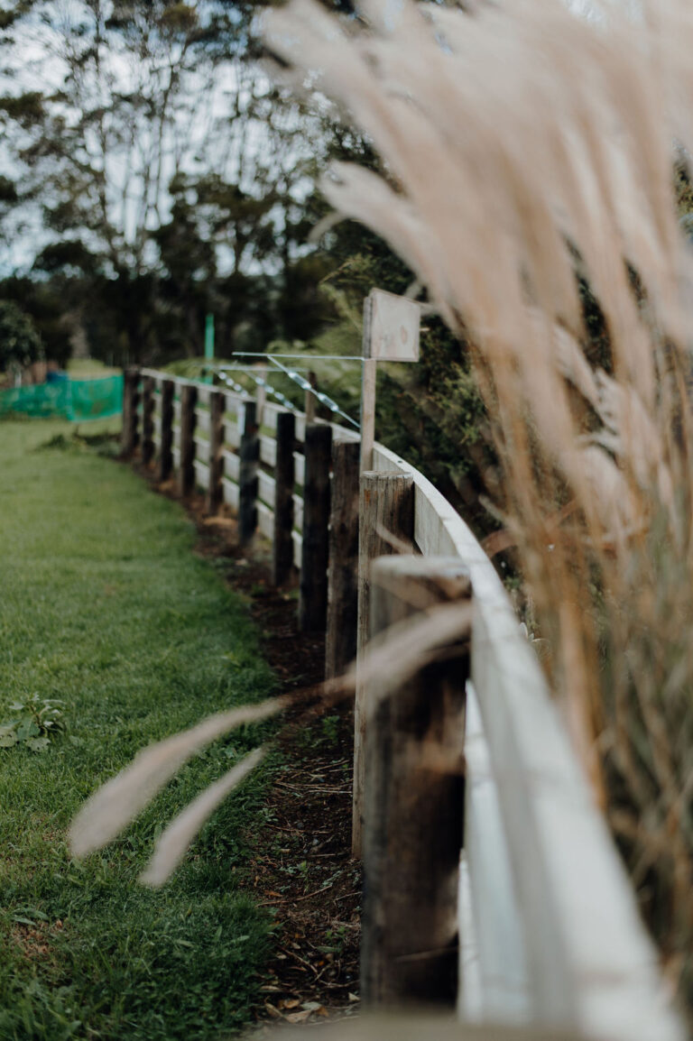 Post and rail fence