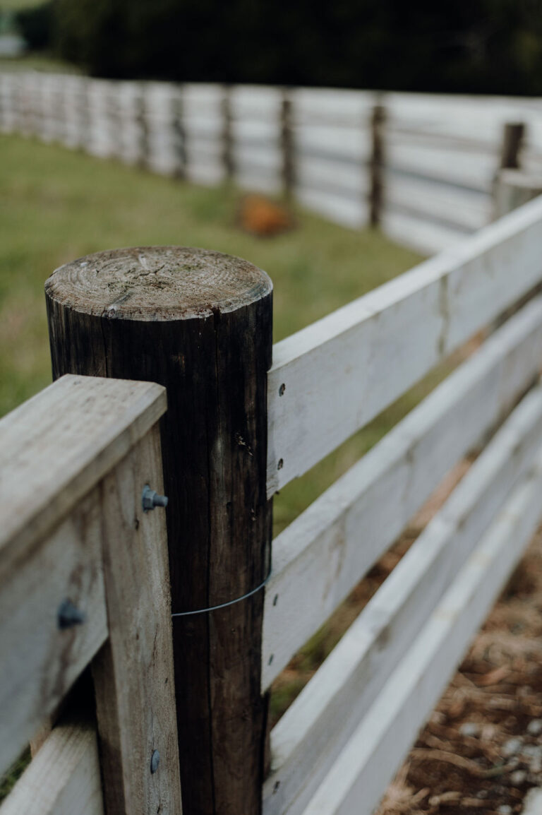 Post and rail fence