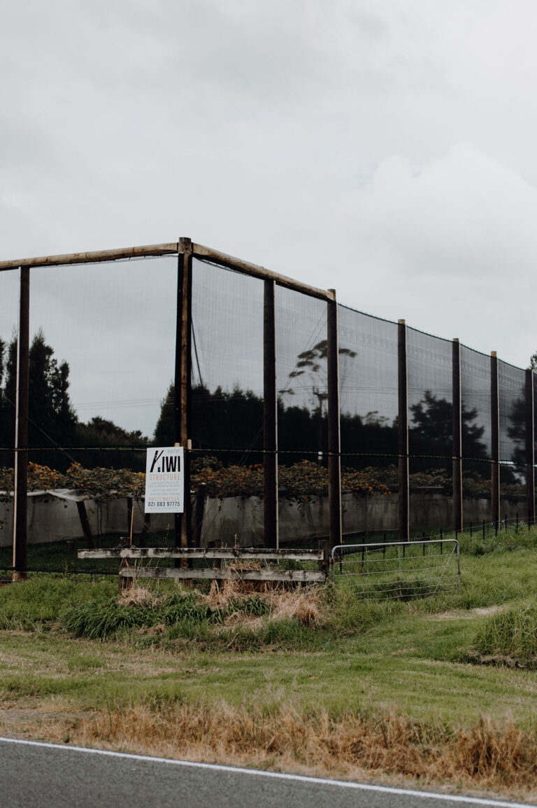 Artificial shelter whangarei