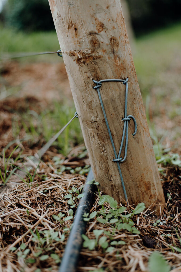 Agricultural fencing