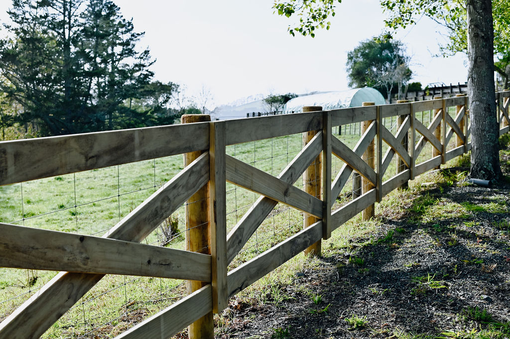 Crossbuck fence