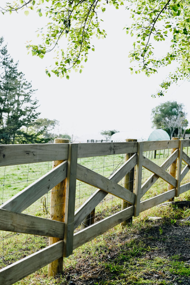 Crossbuck fence 12