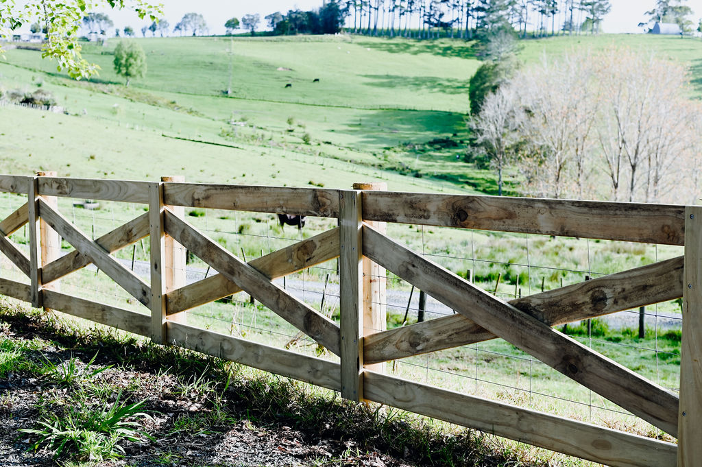 Crossbuck fence 5