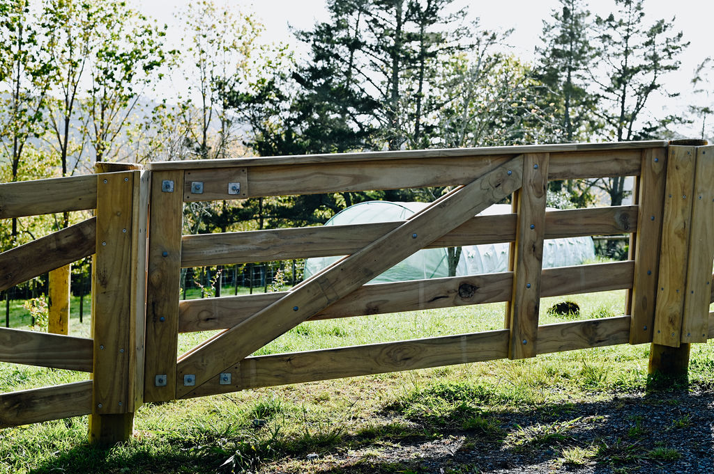 Crossbuck fence 6