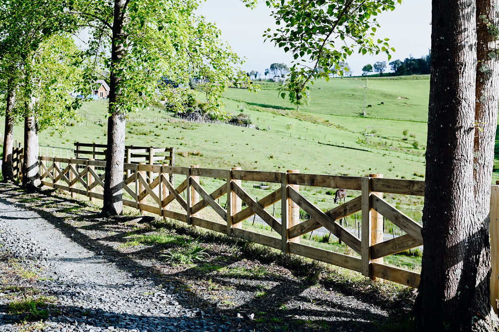 Crossbuck fence 10