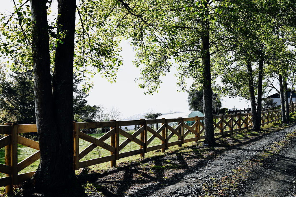 Crossbuck fence 11